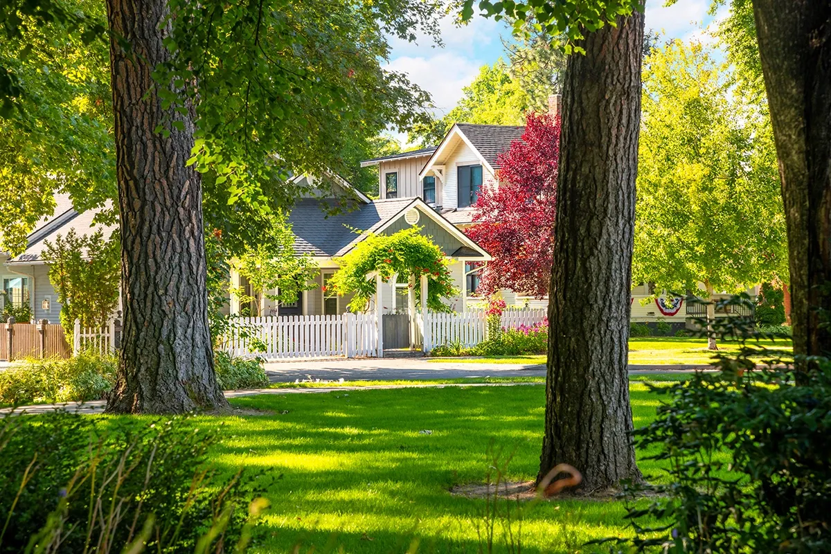 Summer plumbing tips