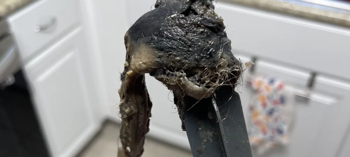 Professional Clogged Drain Service | Fast Solutions