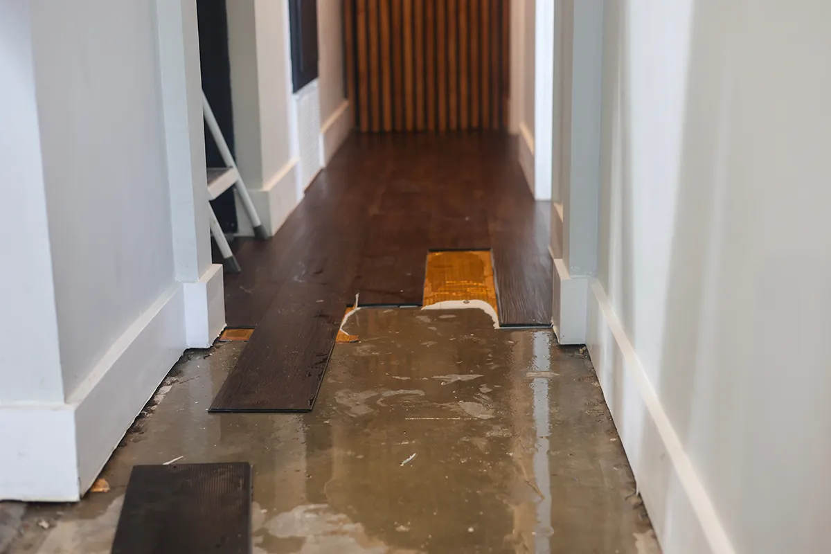 Water-damaged flooring from a plumbing leak requiring leak repair McAdenville