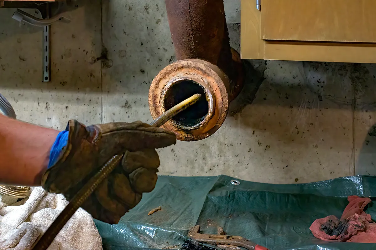technician performing professional drain cleaning with a drain snake on a clogged drain pipe