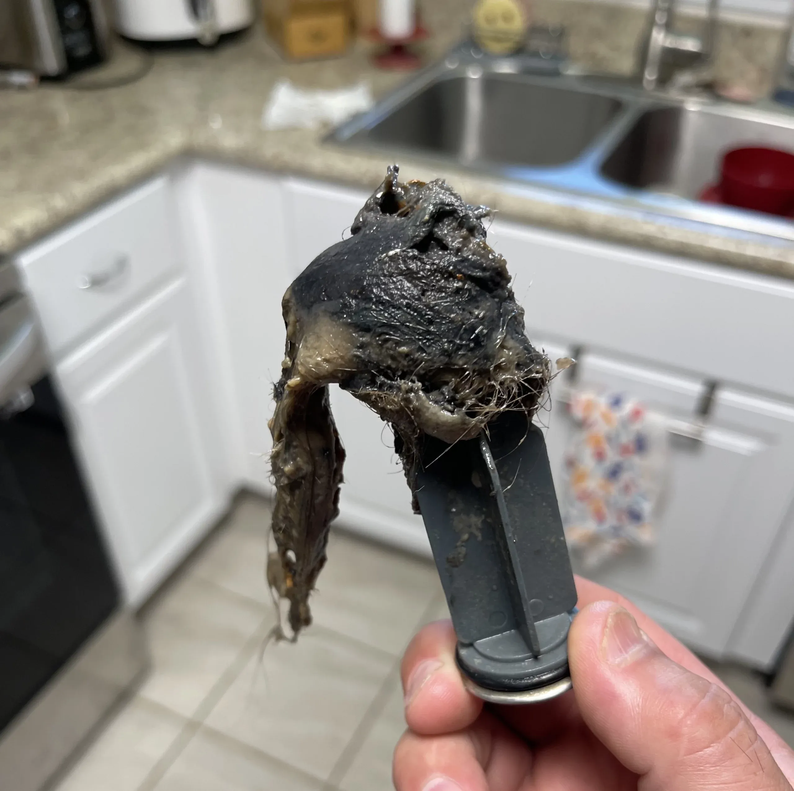 clogged drain service