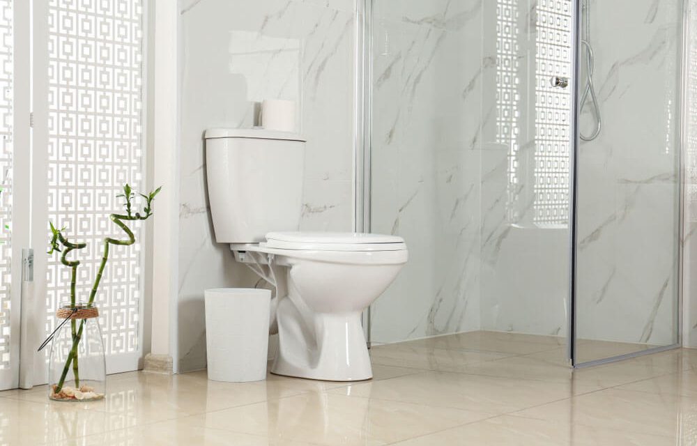 4 Signs You Might Need A New Toilet