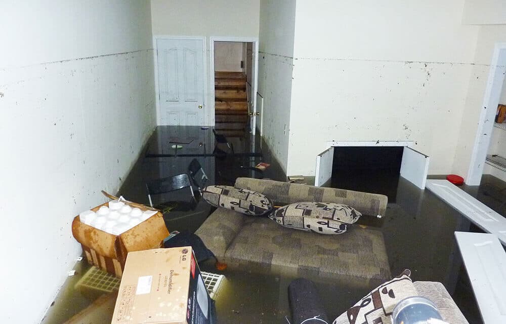 What To Do If Your Basement Floods