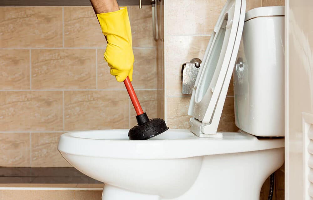 When Should You Call A Plumber For A Clogged Toilet?